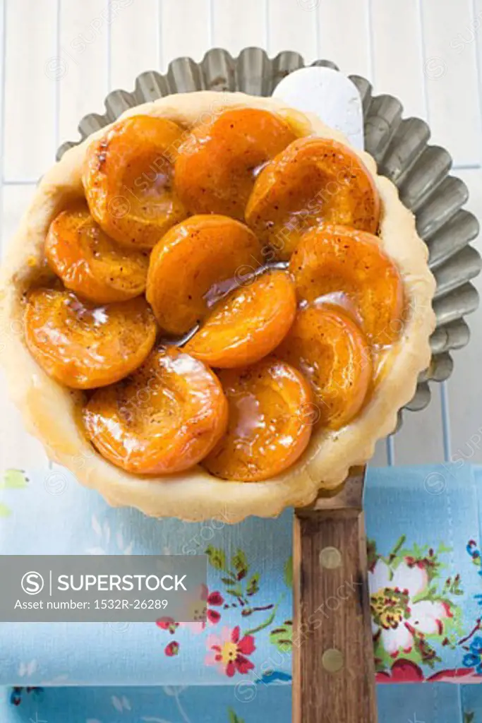 Apricot tart on baking tin
