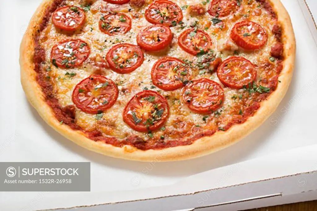 Cheese and tomato pizza with oregano in pizza box