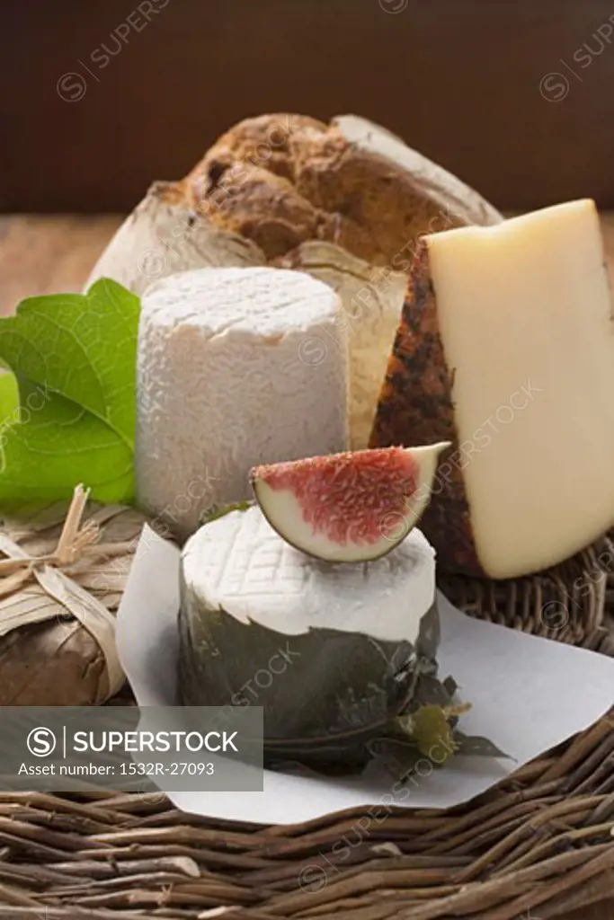 Cheese still life with bread and fig