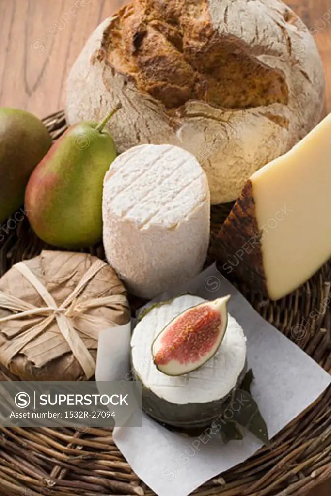 Cheese still life with bread, pears and fig