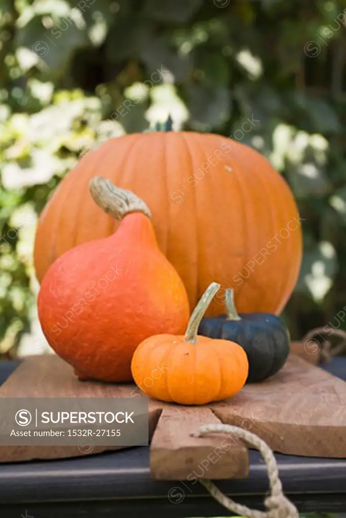 Pumpkins and squashes on chopping board in the open air
