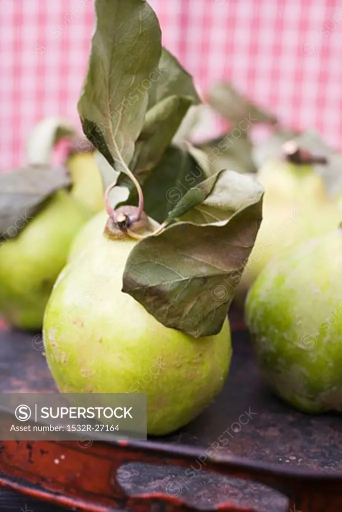 Quinces with leaves on tray