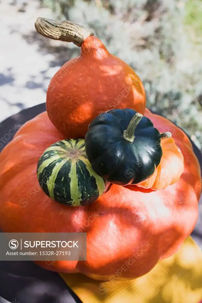 Squashes & pumpkins in a pile in the open air (overhead view)