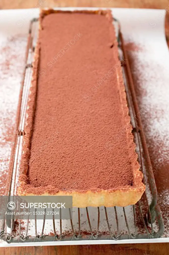Rectangular chocolate tart with cocoa powder
