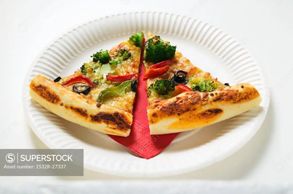 Two slices of American-style vegetable pizza on paper plate