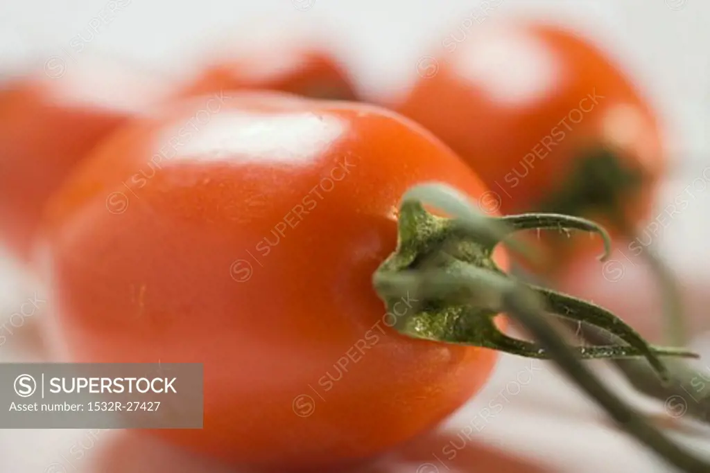 Plum tomatoes on the vine (close-up)