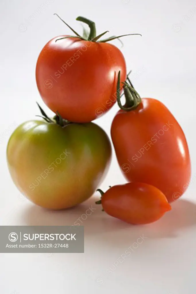 Four different tomatoes