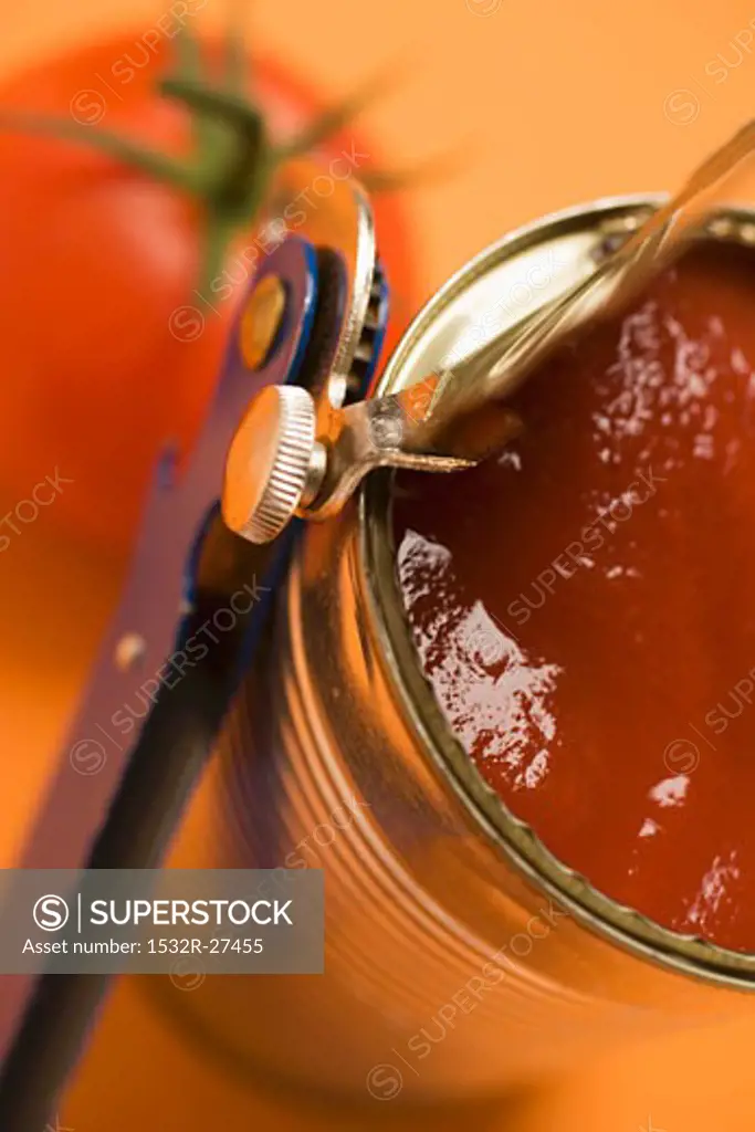 Tinned tomatoes (close-up)