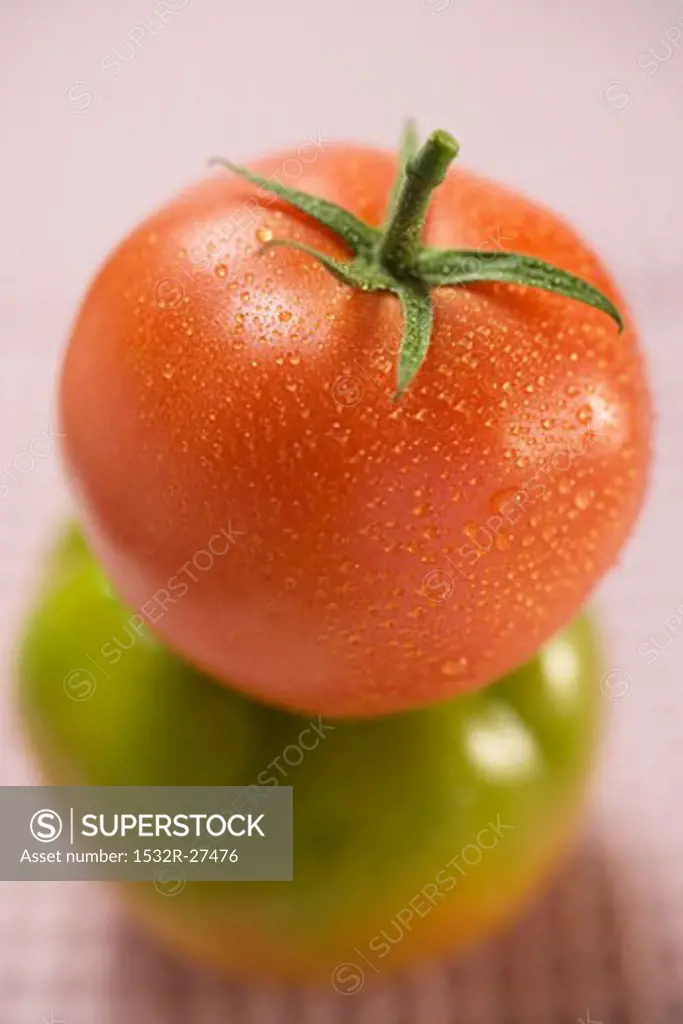 Tomato with drops of water on green tomato