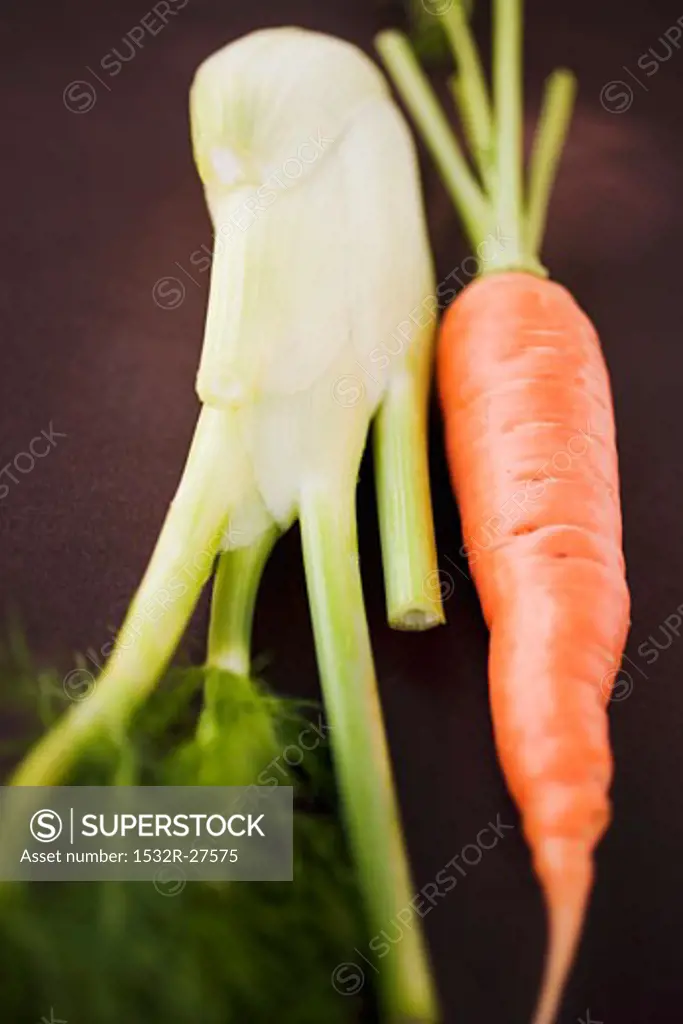 Fresh carrot and Florence fennel bulb