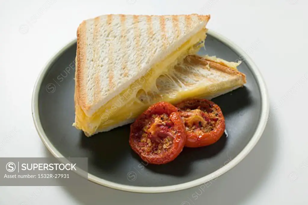 Toasted cheese sandwiches and grilled tomatoes on plate