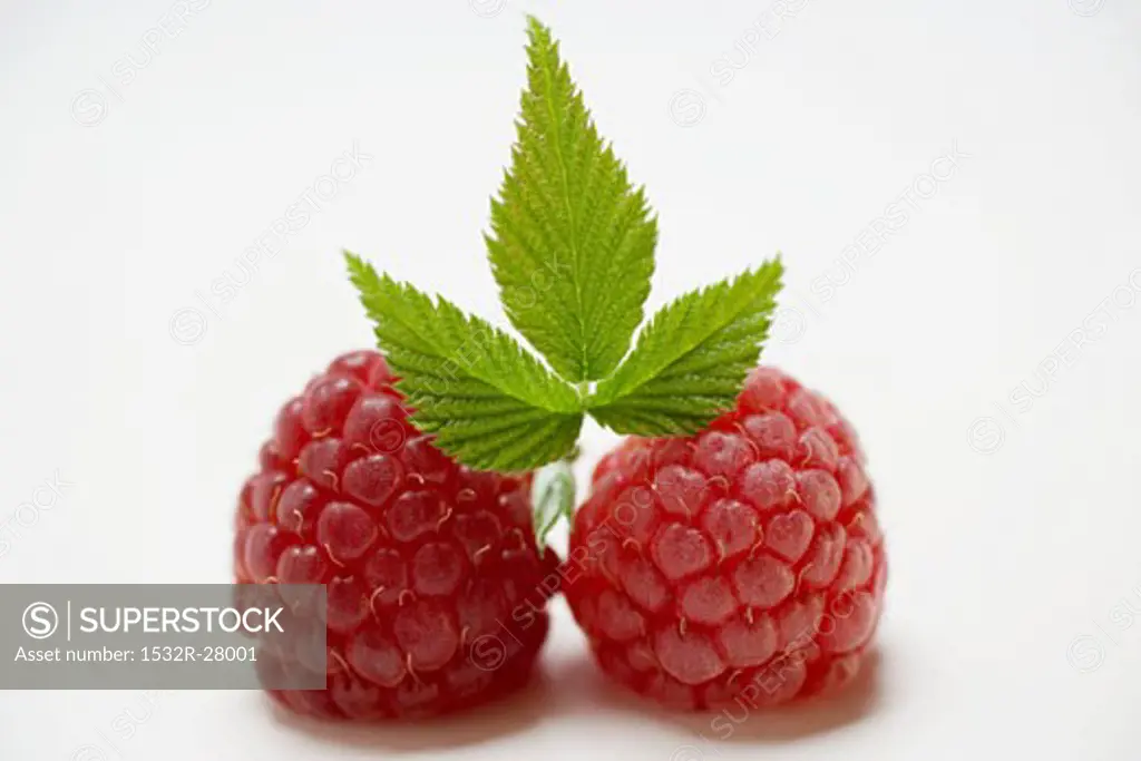 Two raspberries with leaves