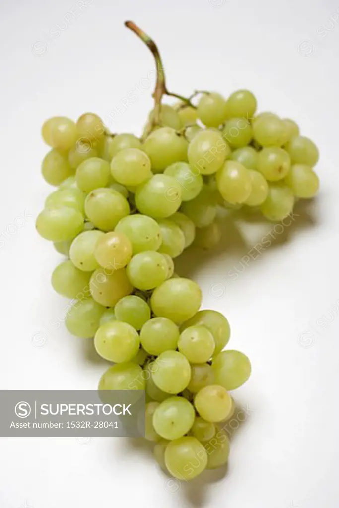 Green Muscat grapes
