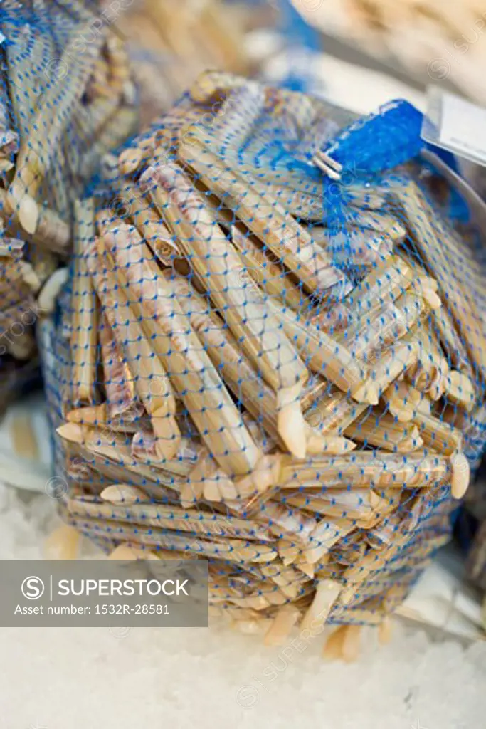 Razor clams in nets at a market
