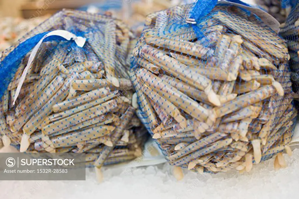 Razor clams in nets at a market
