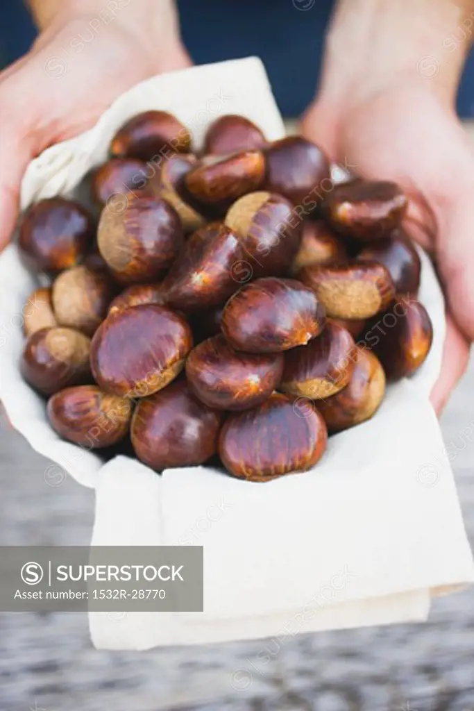 Hands holding chestnuts on cloth in white bowl