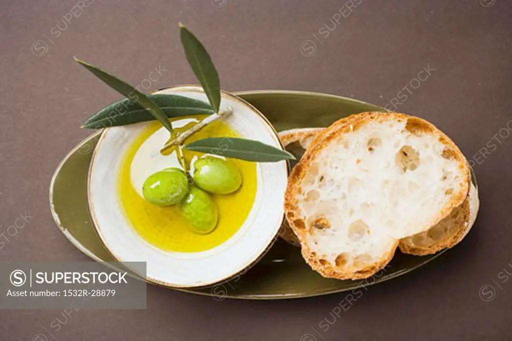 Green olives on twig in bowl of olive oil, white bread