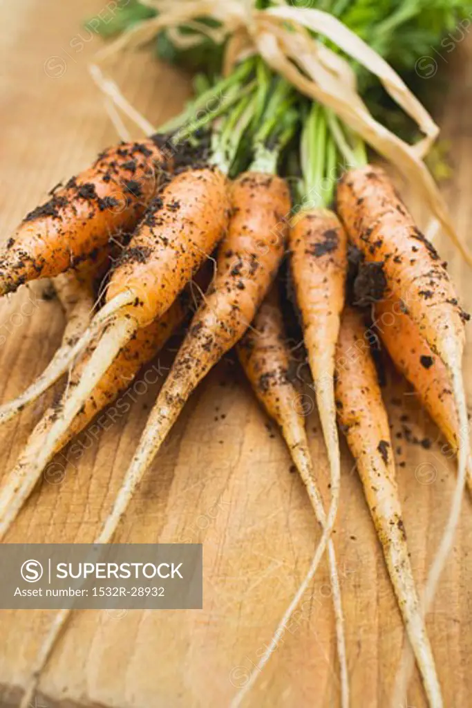 Young carrots with soil on chopping board