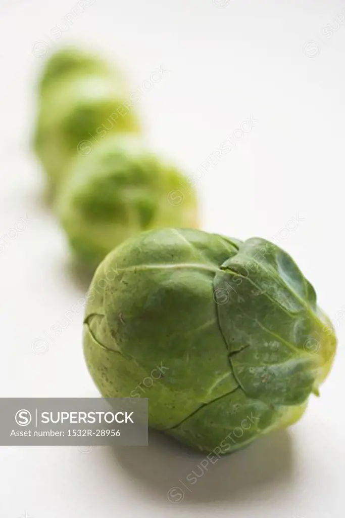 Brussels sprouts in a row