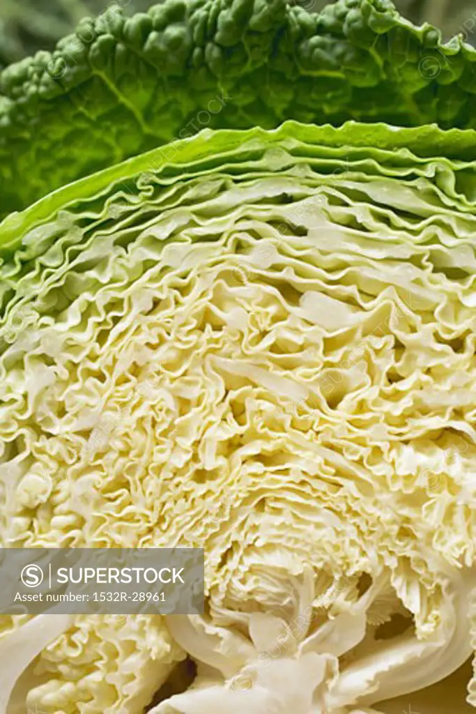 Savoy cabbage, halved (close-up)