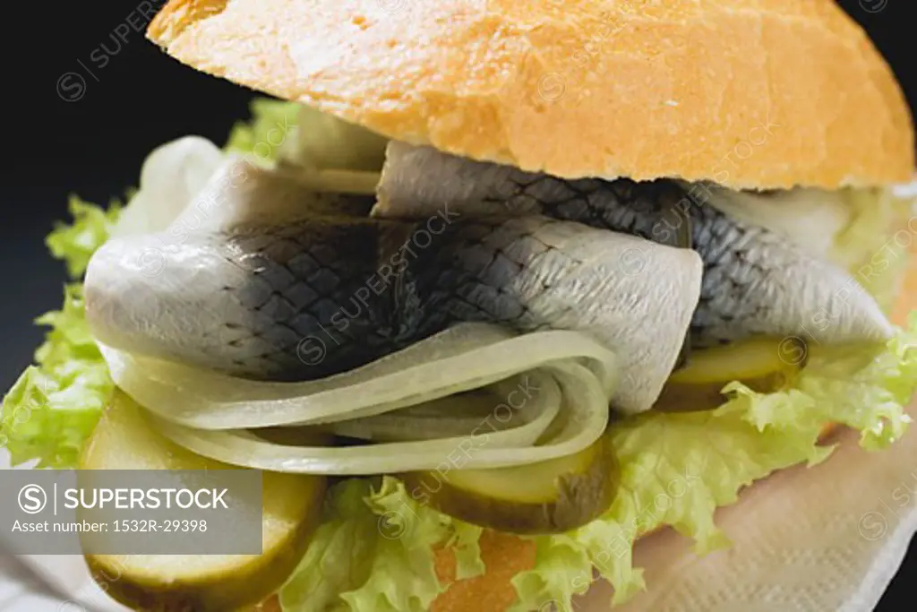 Herring, onions and gherkins in bread roll (close-up)