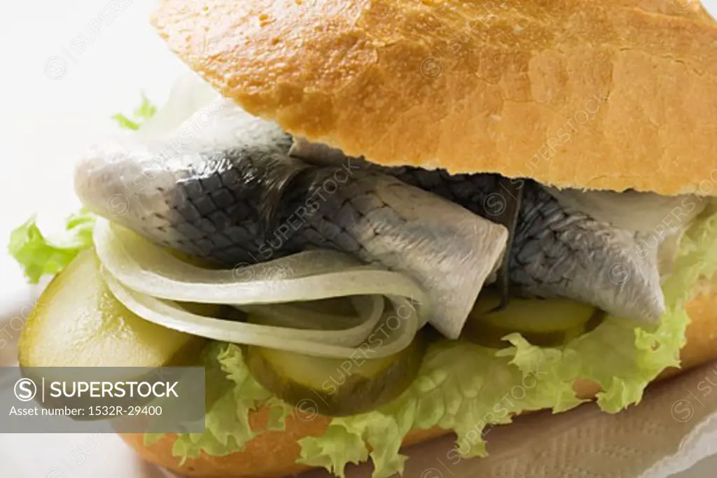 Herring, onions & gherkins in bread roll (close-up)
