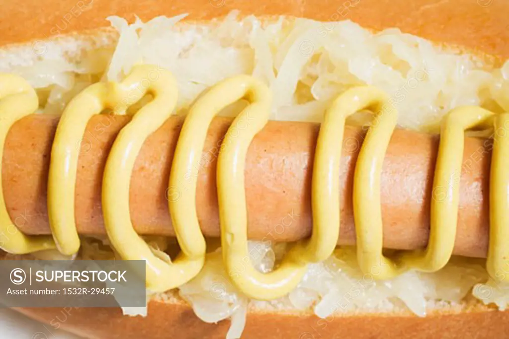 Hot dog with sauerkraut and mustard (close-up)