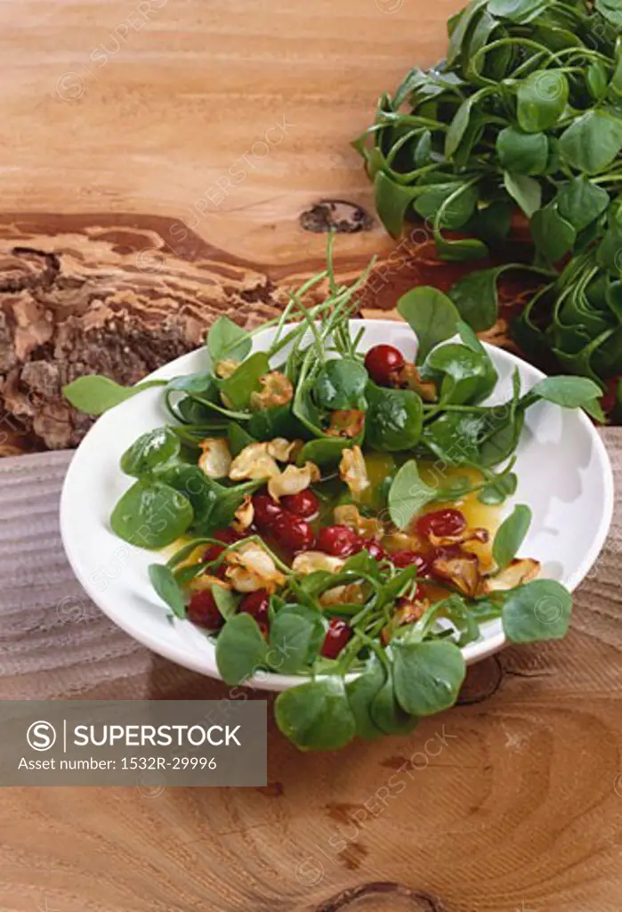 Winter salad: miner's lettuce with parsnip crisps & cranberries