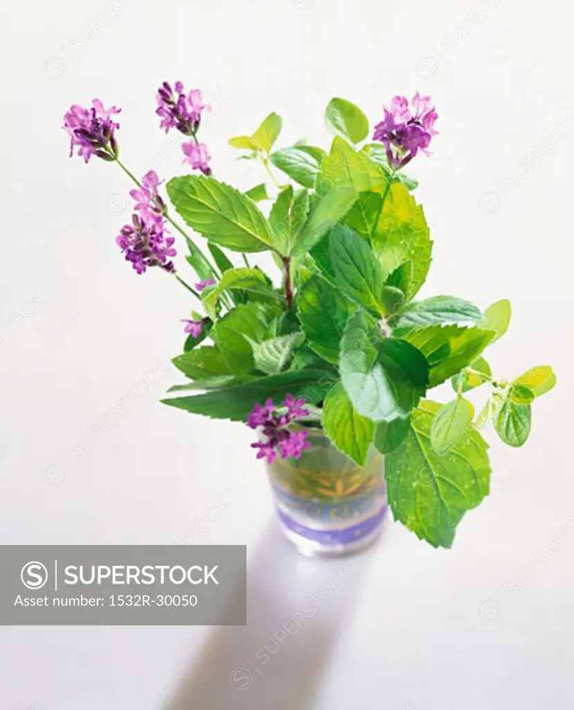 Bunch of herbs and lavender flowers in glass