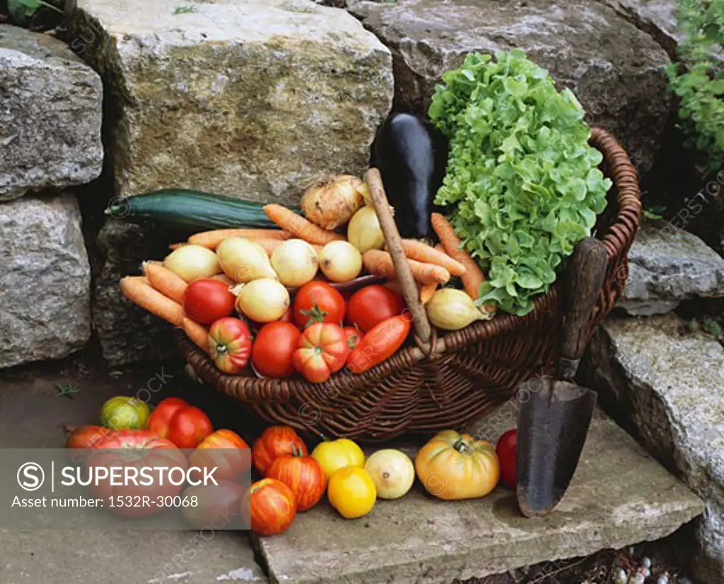 Various types of vegetables in basket with trowel