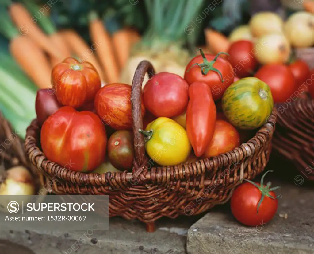 Various types of tomatoes in basket
