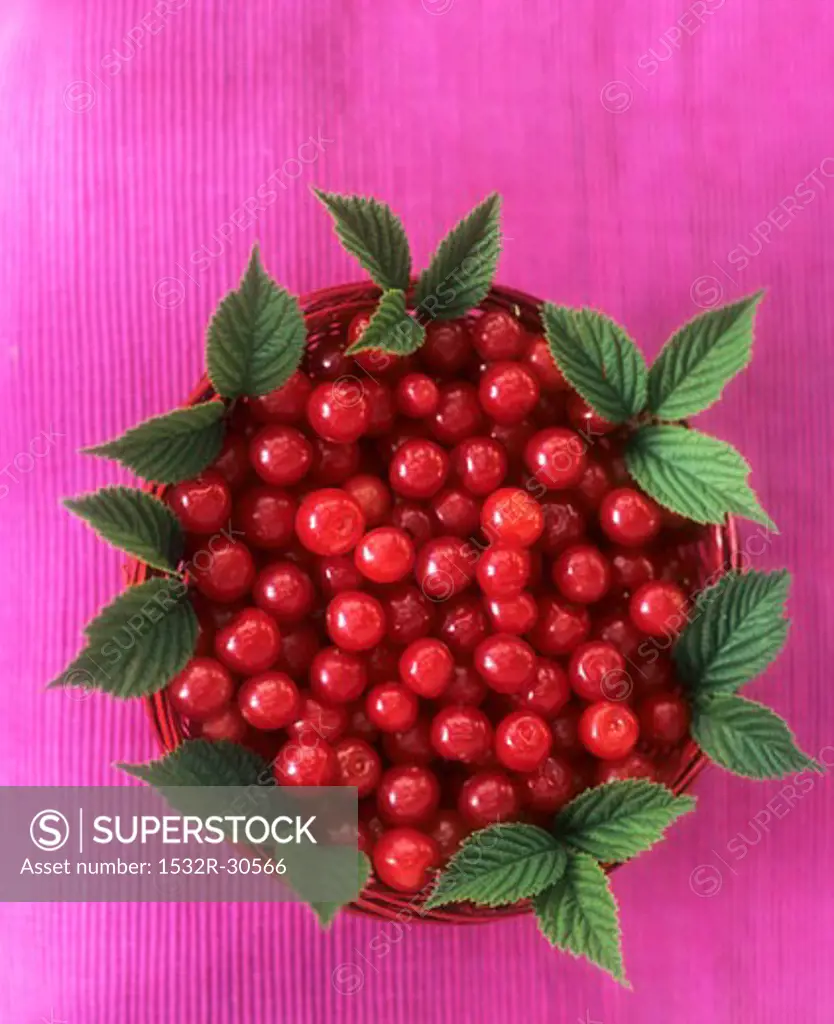 Cherries with leaves in a small basket