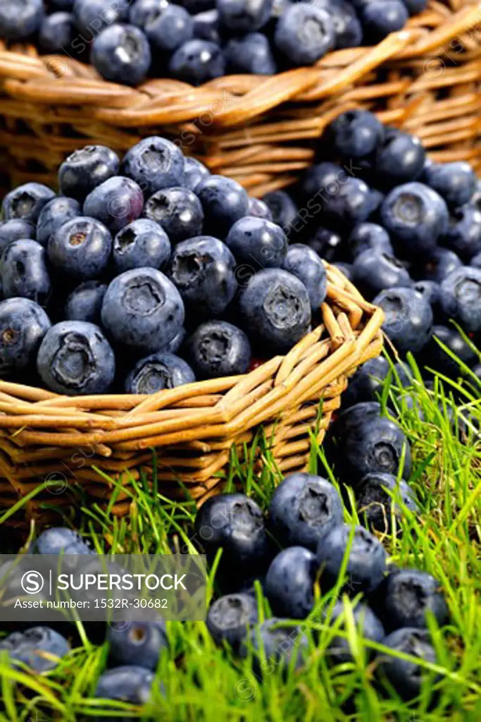 Fresh blueberries in wicker baskets