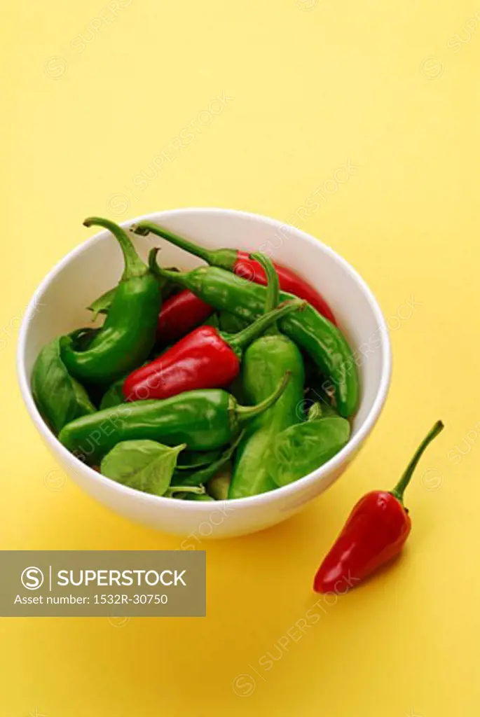 Green and red chillies in a dish