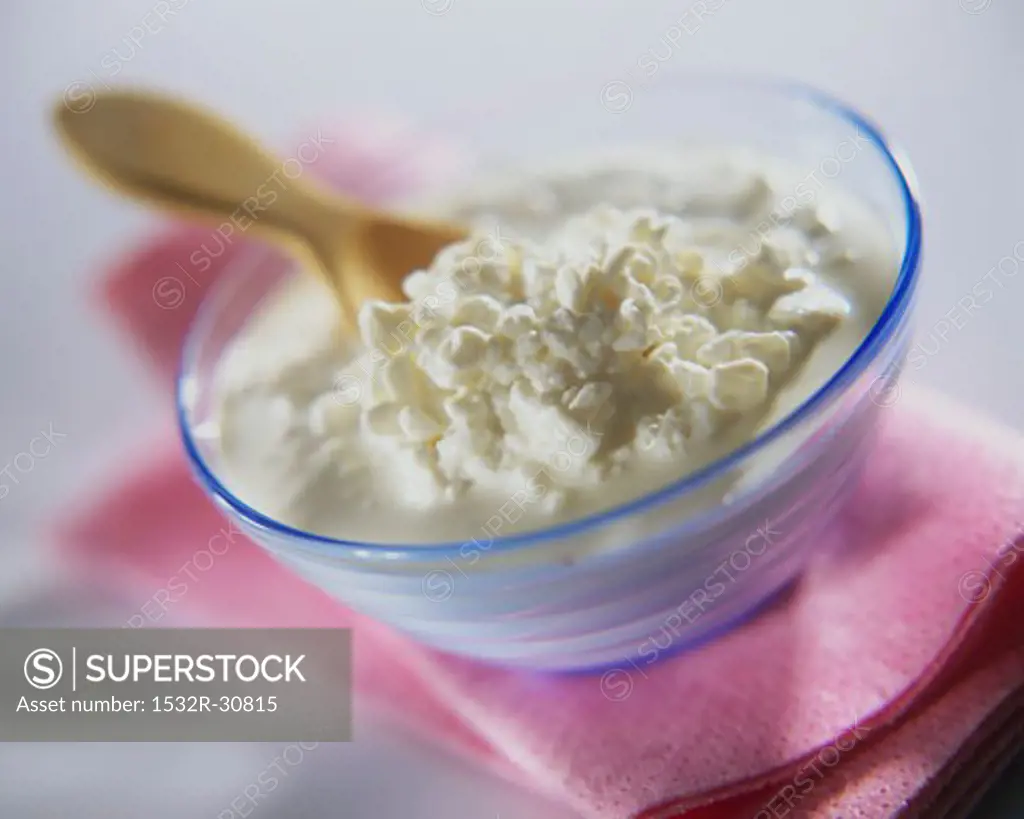 A small bowl of cottage cheese