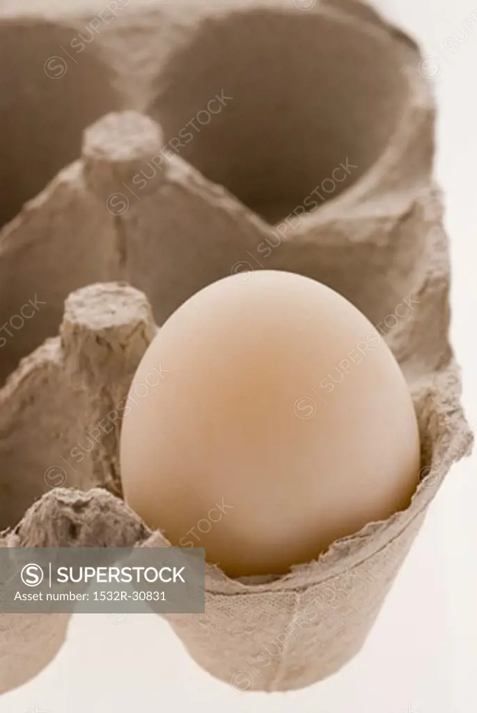 An egg in an egg box