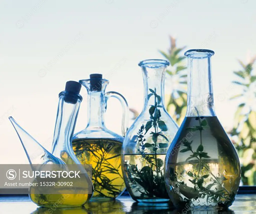 Various herb oils