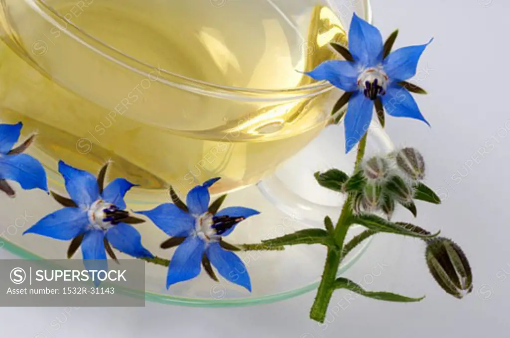 A cup of borage tea and borage flowers