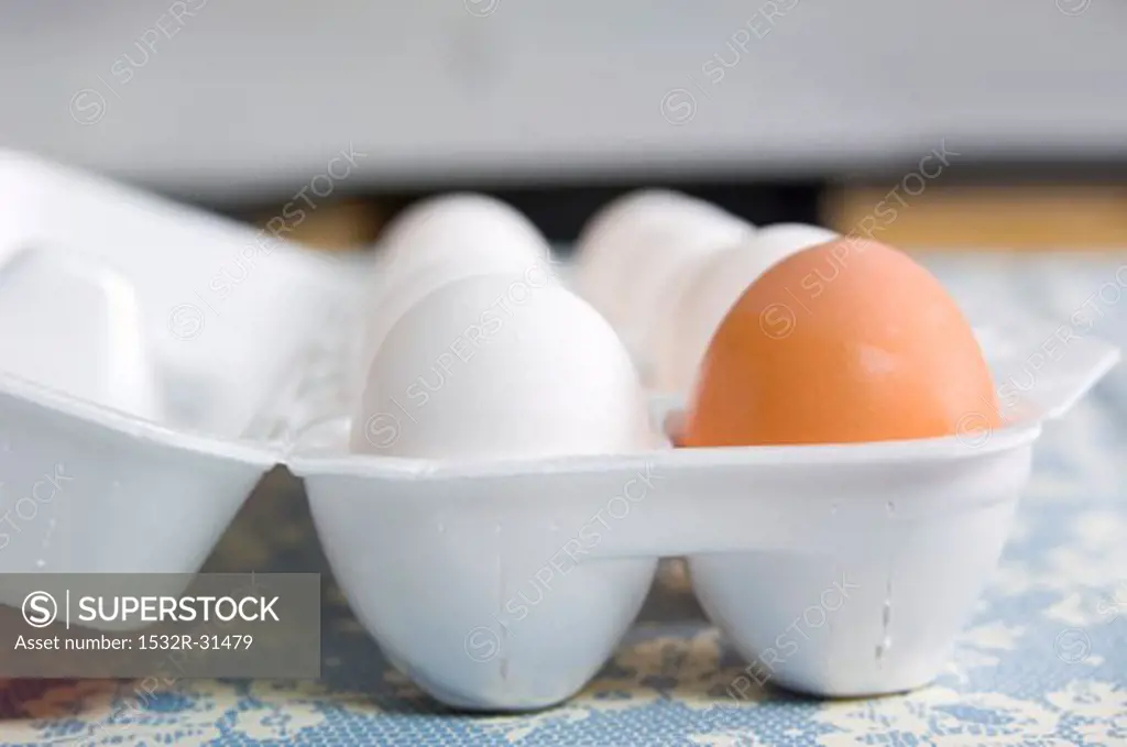 One brown egg and several white eggs in egg box