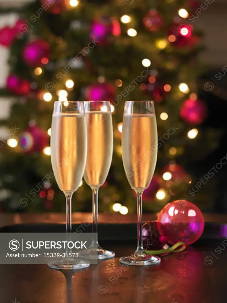 Three glasses of champagne, Christmas tree in background
