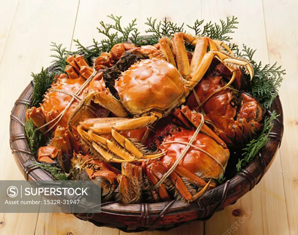 Chinese mitten crabs in a basket