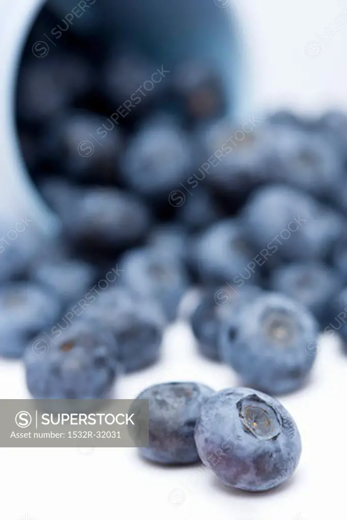 Blueberries falling out of an upset beaker