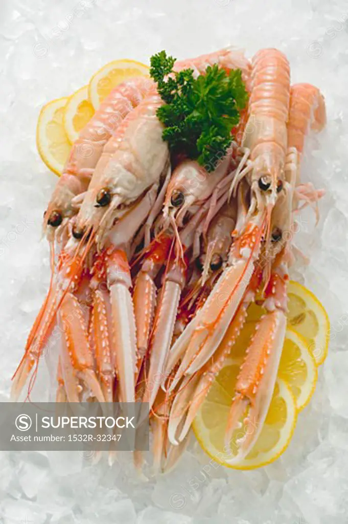 Scampi on crushed ice