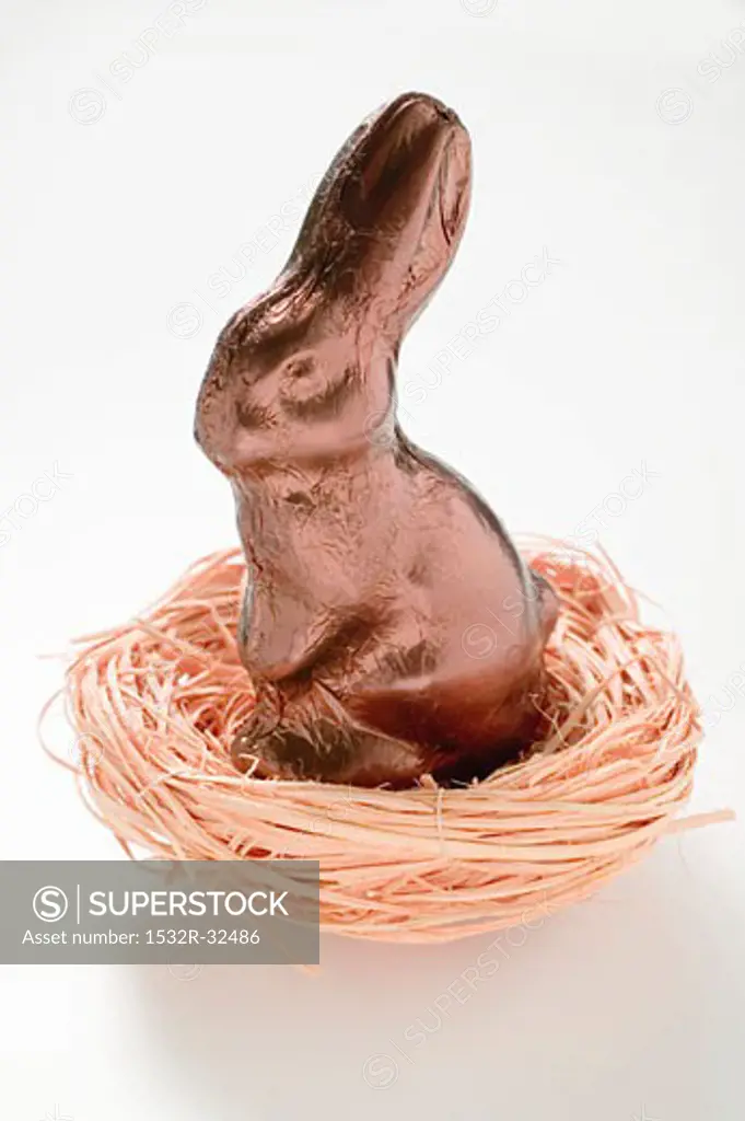 Easter Bunny in foil in nest