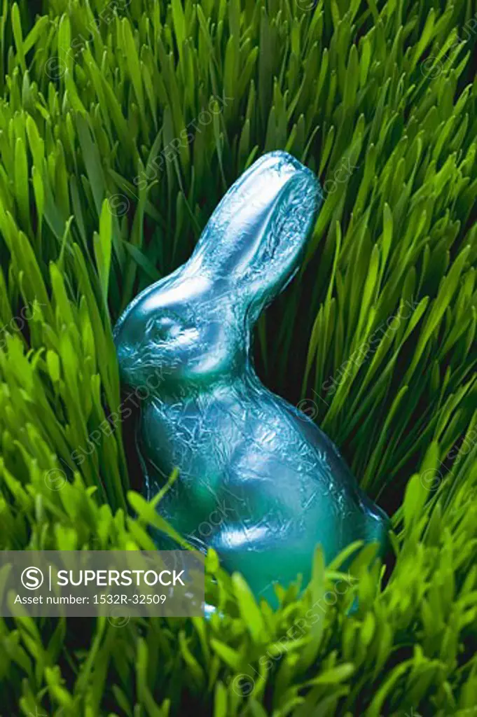 Easter Bunny in grass