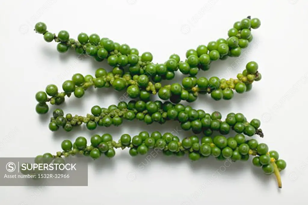 Spikes of green peppercorns