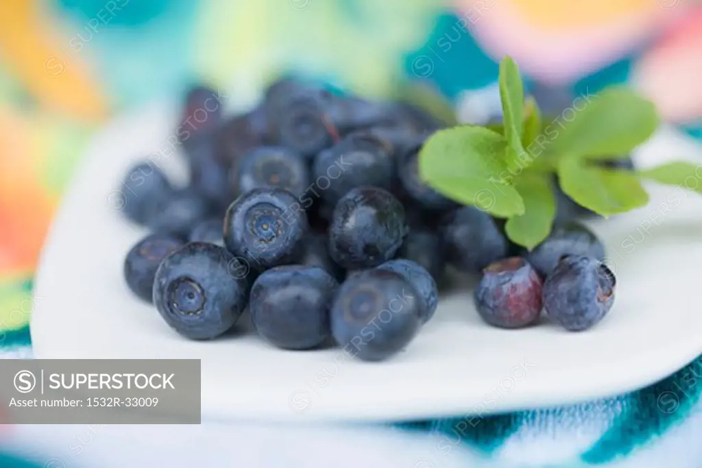 Blueberries with leaves on plate