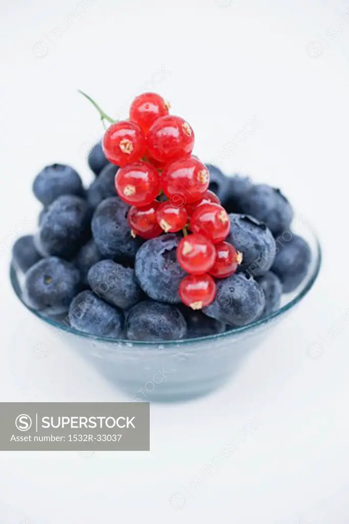 Blueberries and redcurrants in glass dish
