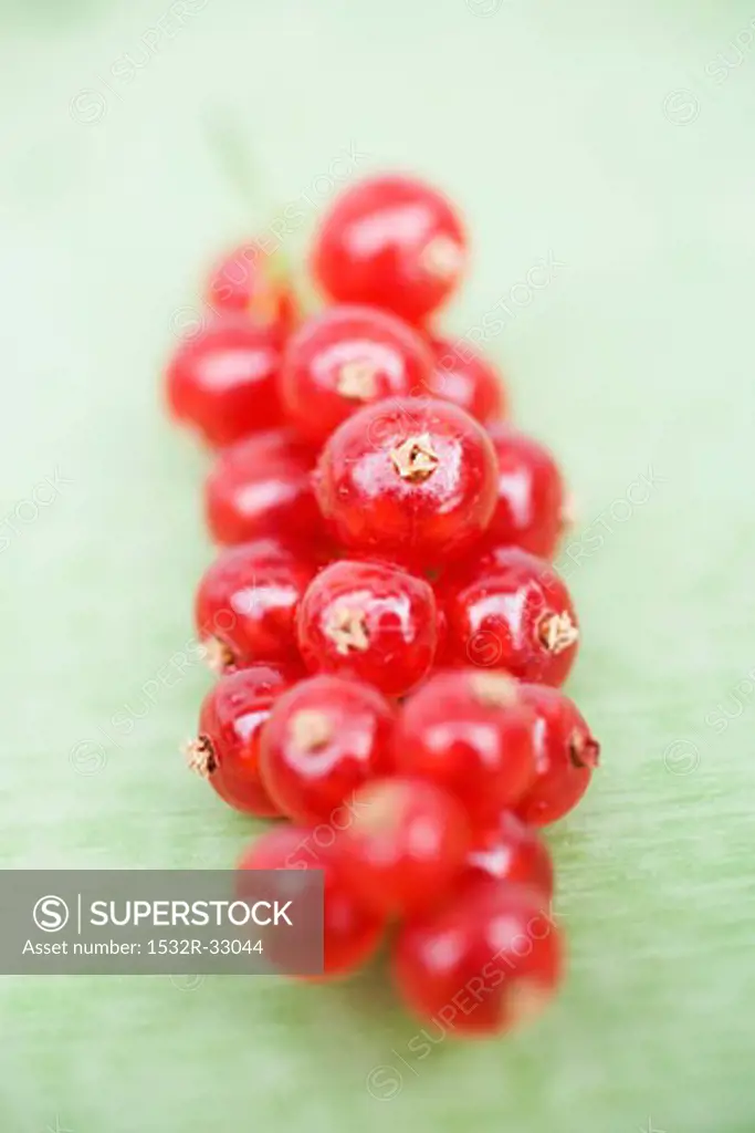 Redcurrants (close-up)