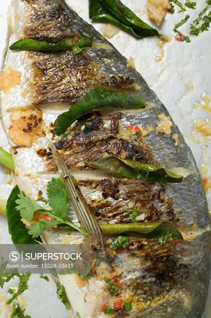 Roasted gilthead bream with lemon leaves